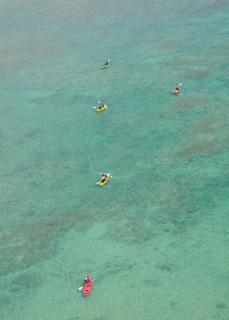 ファイル名: 1219402768_NONALNUM-gqvjg6Tjg4Pjgq8-E.jpg
ファイルサイズ: 8.6KB NONALNUM-gqvjg6Tjg4Pjgq8-E