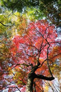 ファイル名: NONALNUM-57SF6JGJ-E.jpg
ファイルサイズ: 140.1KB
→クリックで元のサイズを表示 NONALNUM-57SF6JGJ-E