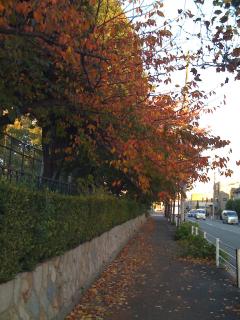 ファイル名: IMG0222.jpg
ファイルサイズ: 926.9KB
→クリックで元のサイズを表示 IMG0222